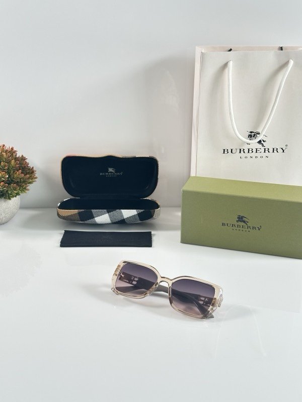 Burberry_WMNS_5509_Water_Brown - Image 3