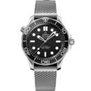 Omega Seamaster
Diver 300M
42 mm, steel on steel